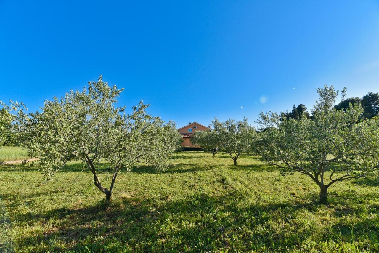 Holiday Home Taras Smilcic ภายนอก รูปภาพ