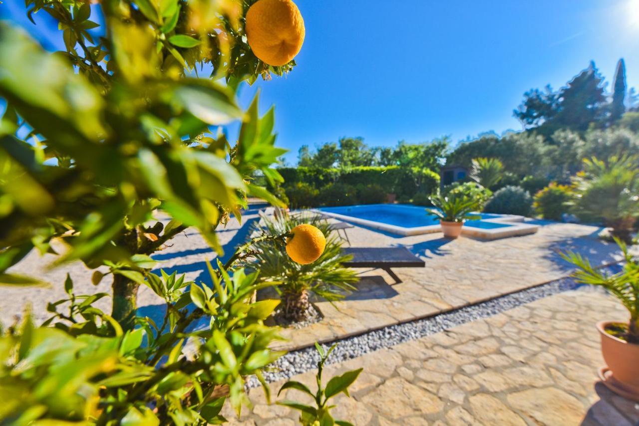Holiday Home Taras Smilcic ภายนอก รูปภาพ